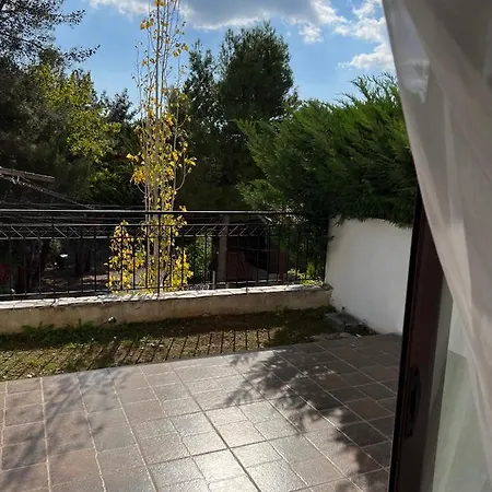 Casa vacanze Pine Forest Mountain House