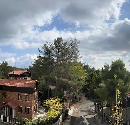 Casa vacanze Pine Forest Mountain House Limisso