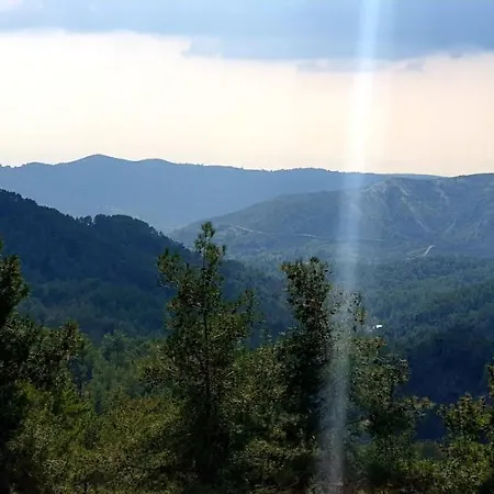 Pine Forest Mountain House