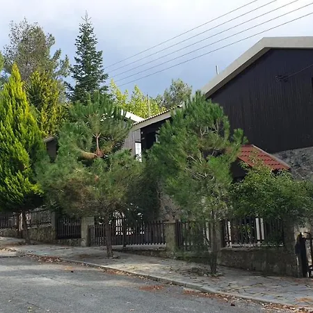 Pine Forest Mountain House