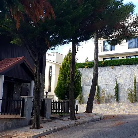 Pine Forest Mountain House