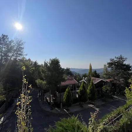 Pine Forest Mountain House Holiday home Limassol