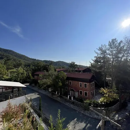 Pine Forest Mountain House Holiday home Limassol