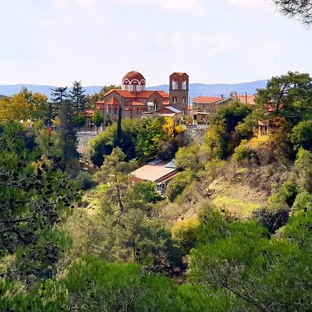 Pine Forest Mountain House Limassol
