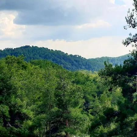 Pine Forest Mountain House Holiday home Limassol