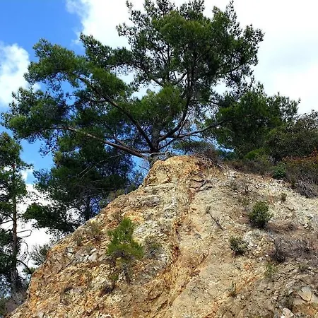 Pine Forest Mountain House * Limassol