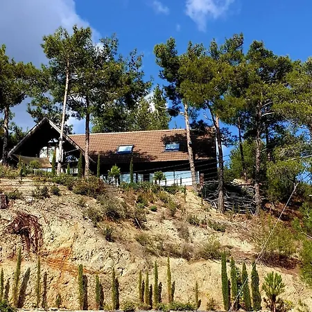 Holiday home Pine Forest Mountain House *